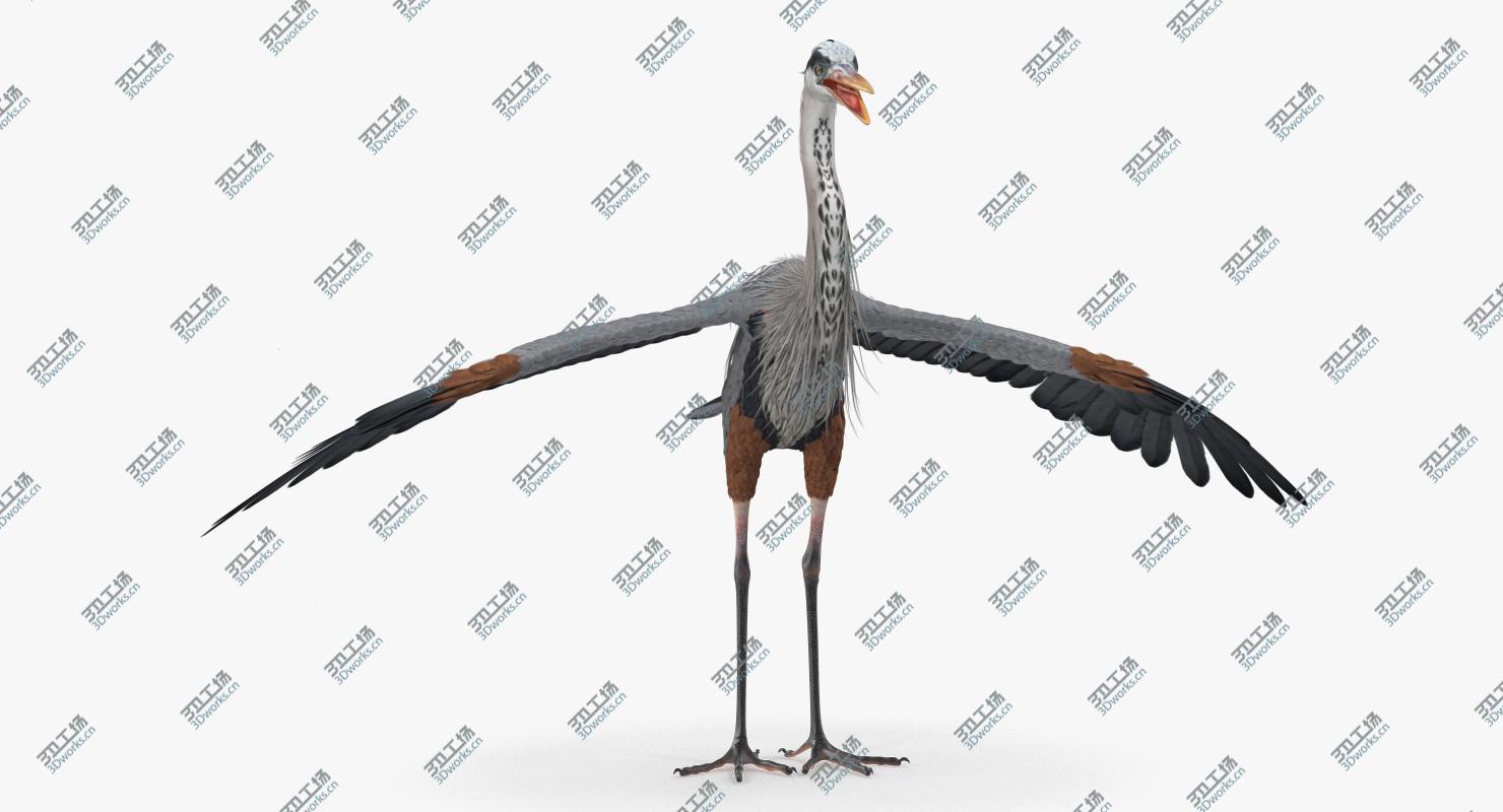 images/goods_img/2021040231/Great Blue Heron 3D/2.jpg